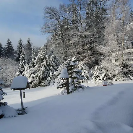 Hochwald-ensuite Guest house *